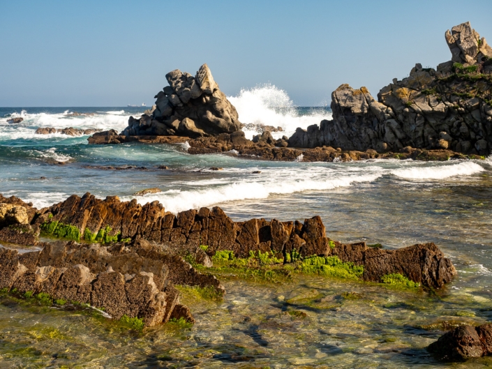 Flysch flysch algeciras